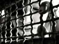 pochette album Marie - pierre