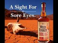 pochette album A sight for sore eyes