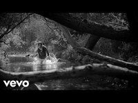 pochette album New rush