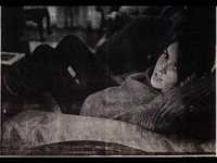 pochette album Shane