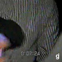 pochette album Natural born farmer