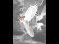 pochette album Heaven's missing an angel