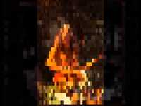 pochette album Madeleine