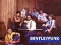 pochette album Usted abuso