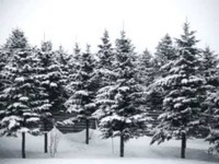 pochette album Frosty the snowman