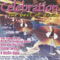 pochette album I will survive