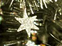 pochette album Joy came to the world