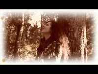 pochette album Il lupo perde il pelo