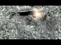 pochette album Magic in here