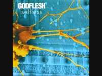 pochette album Black boned angel