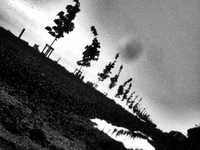 pochette album Das schwarze wesen