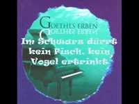 pochette album Rebell