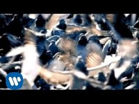 pochette album Dizzy