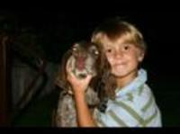 pochette album Fine leather truck