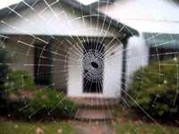 pochette album Web before you walk into it