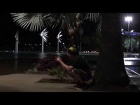 pochette album Telkkariin