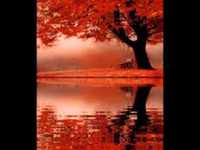 pochette album Catfish john