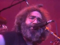 pochette album It must have been the roses