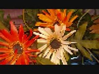 pochette album Magnesium night light