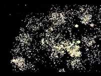 pochette album Mindbender