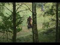 pochette album Barbarism returns