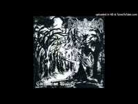 pochette album Unpunished herd