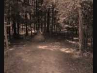 pochette album Trois navires de ble