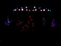 pochette album Alligator