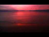 pochette album Insanity