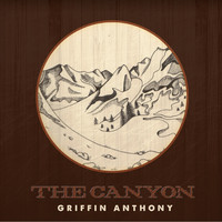 pochette album Junebug