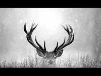 pochette album Heartbeats