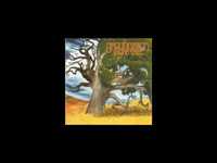 pochette album Groundation chant