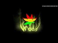 pochette album Music is the most high