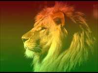 pochette album The seventh seal