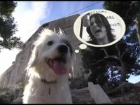 pochette album Gruhak boogie