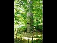 pochette album Broken