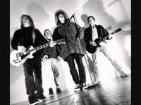 pochette album Hey aardvark