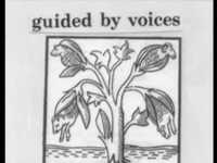 pochette album Non-absorbing