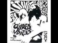 pochette album The stir-crazy pornographer