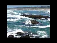 pochette album The tumblers