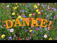 pochette album Danke!