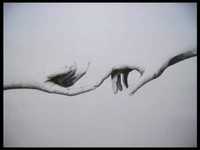 pochette album Marie