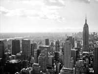 pochette album Very important people