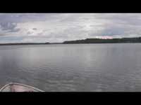 pochette album I'm through