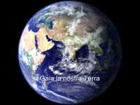 pochette album The evening shadows