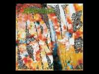 pochette album Formaldehyde