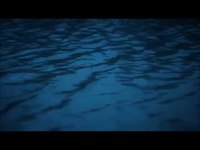 pochette album Colors