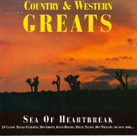 pochette album Send me the pillow that you dream on