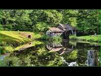 pochette album Birth of the blues