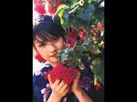 pochette album Geisha girl